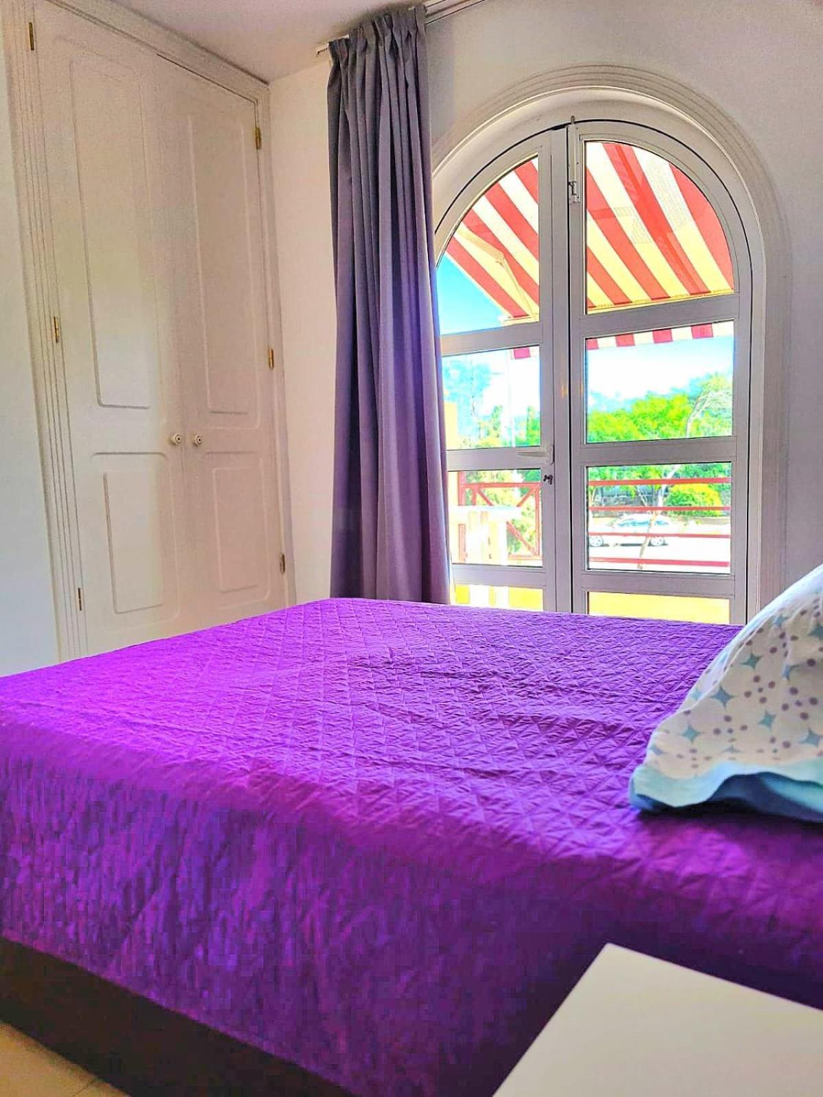 Story Suites - Palmeral Oasis マスパロマス エクステリア 写真